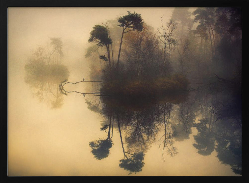 Minun paikkani | Julisteet - Taidevedokset