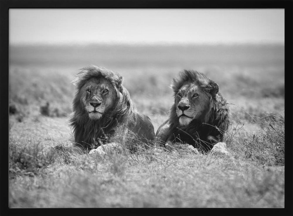 Two kings | Poster