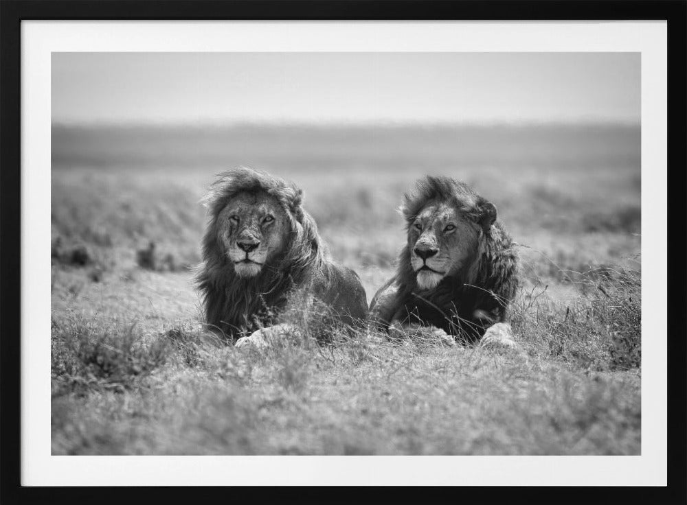 Two kings | Poster