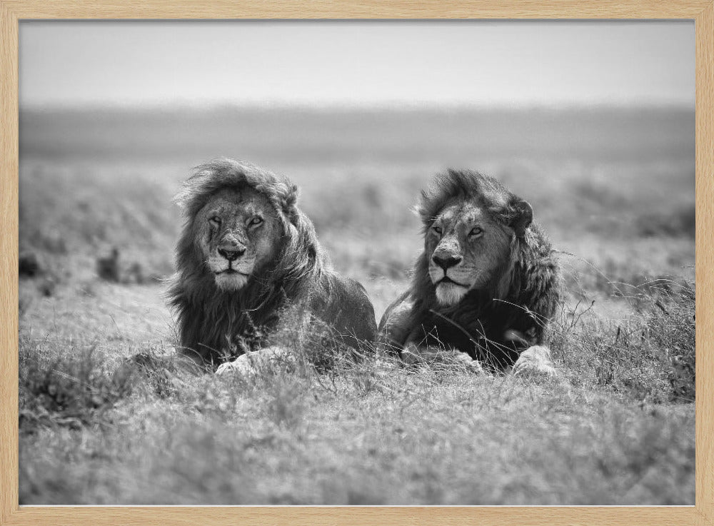 Two kings | Poster