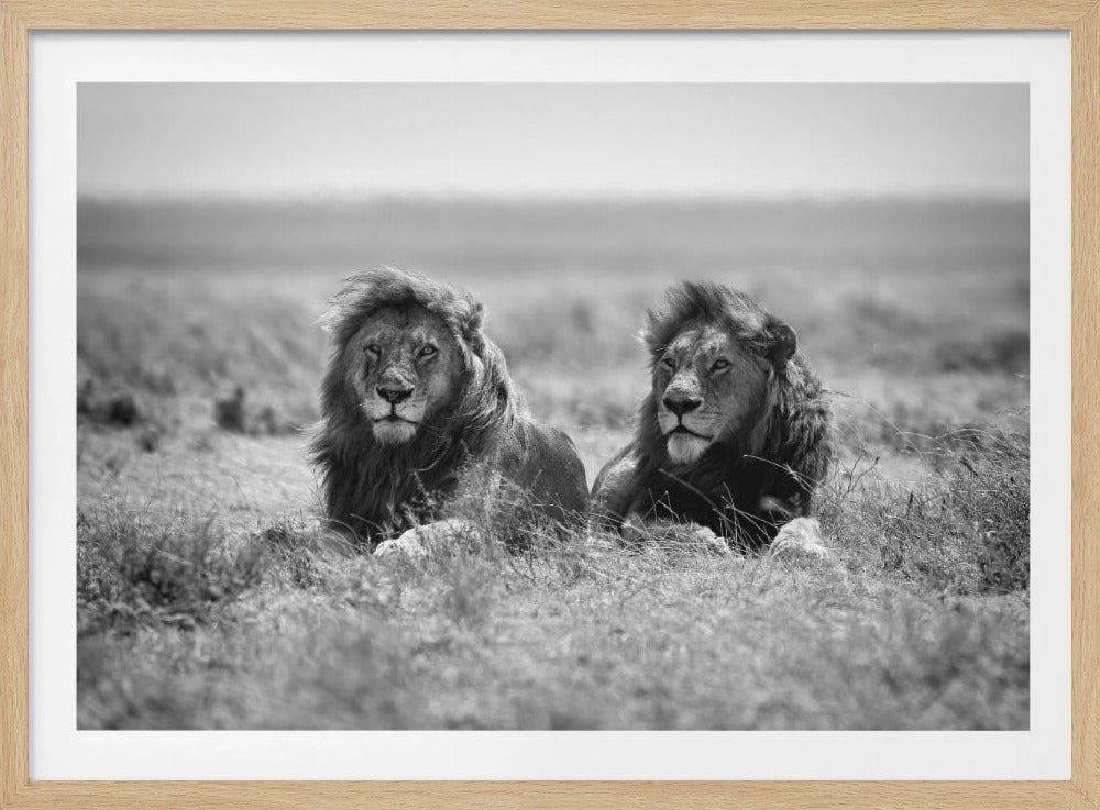 Two kings | Poster