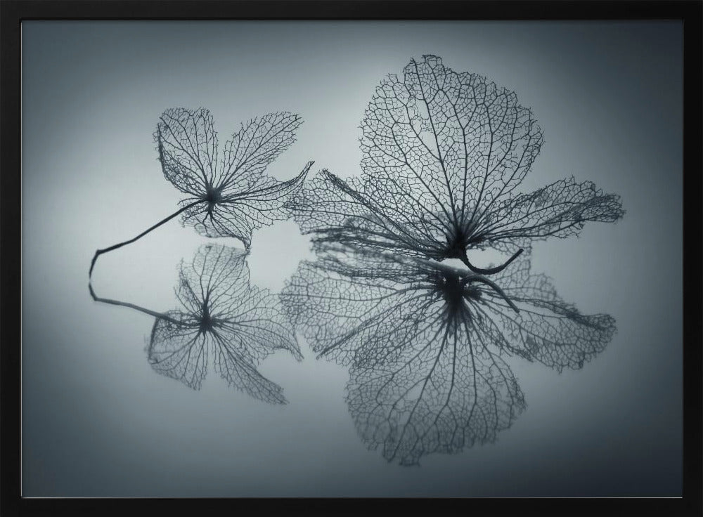 Ephemeral Beauty | Poster