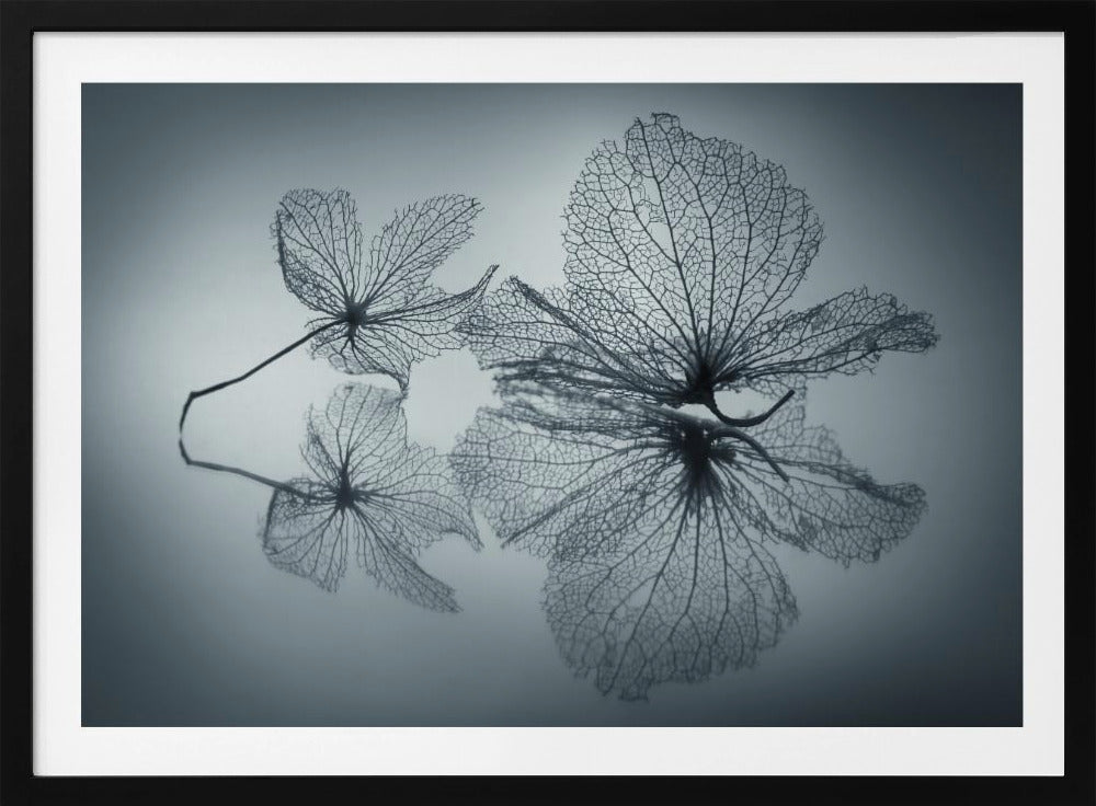 Ephemeral Beauty | Poster