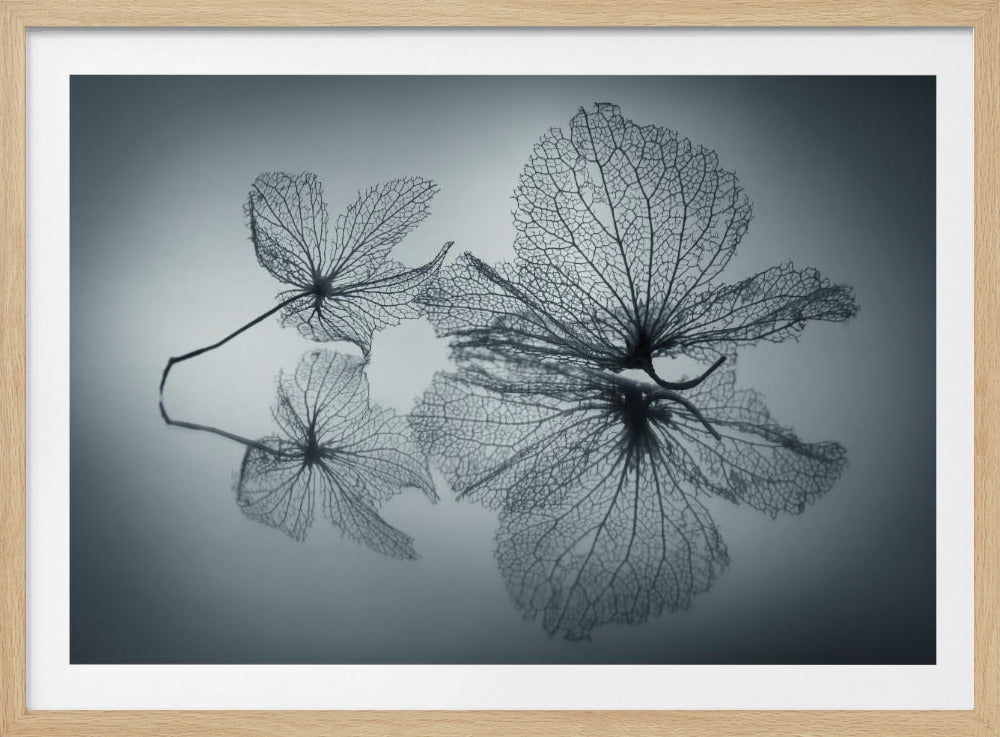 Ephemeral Beauty | Poster