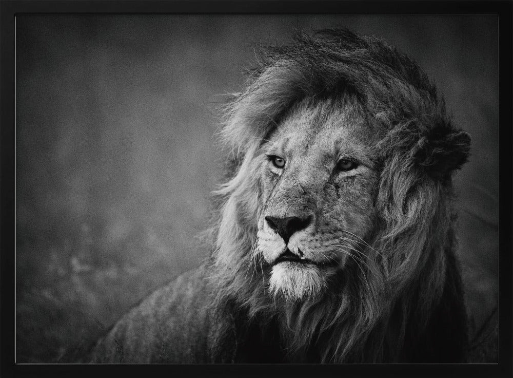 Regal | Poster