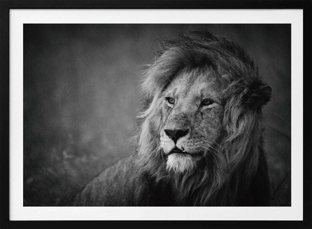 Regal | Poster