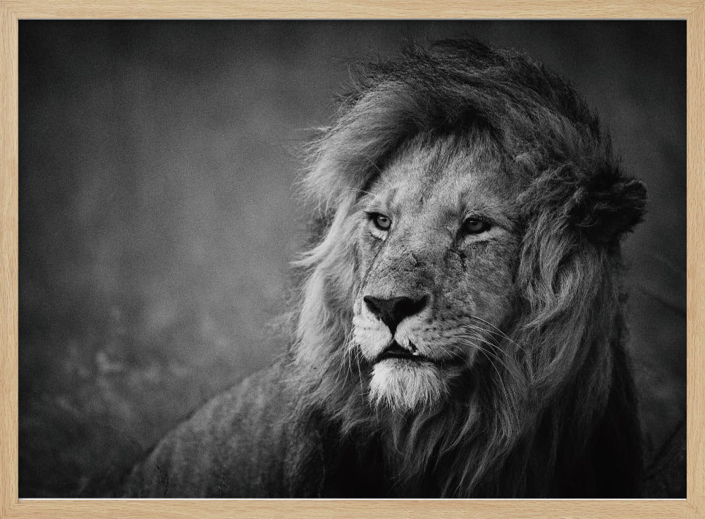 Regal | Poster