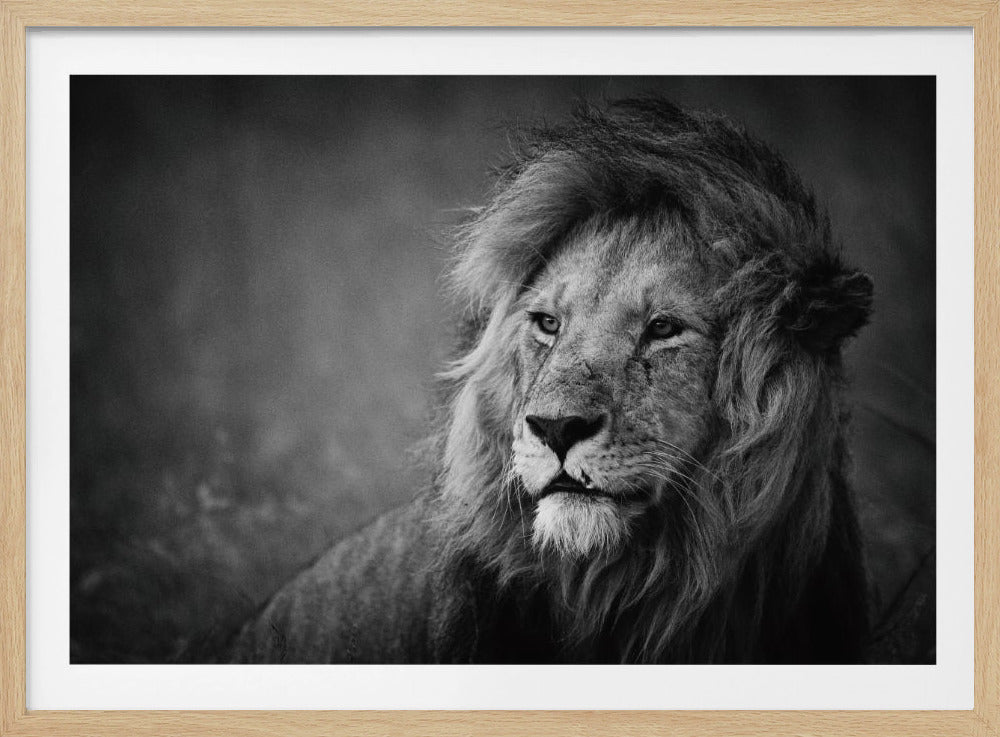 Regal | Poster