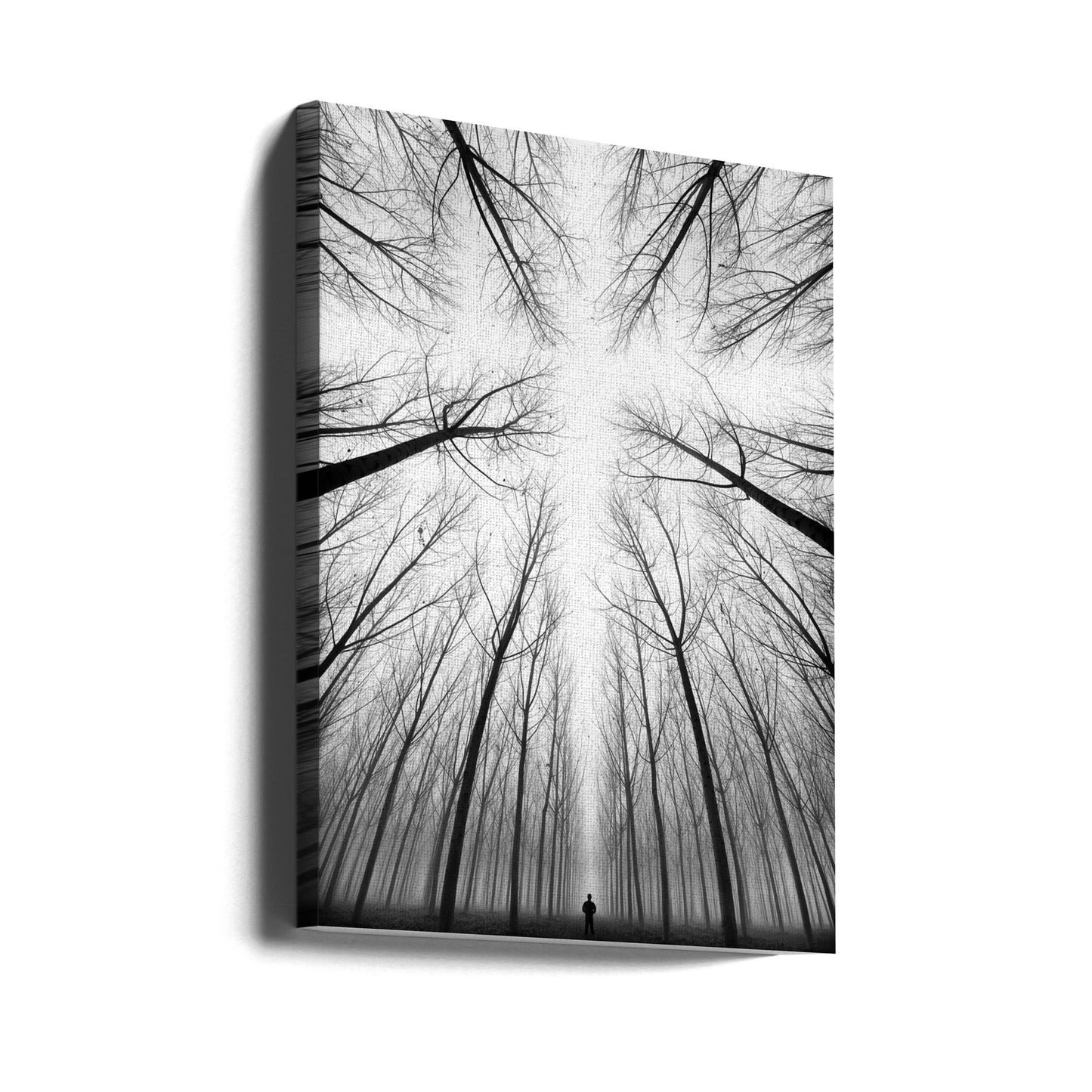 RISTIN | Canvastaulut