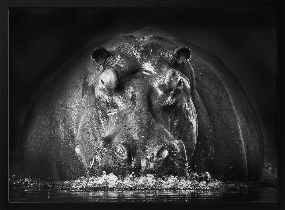 TEHO | Julisteet - Taidevedokset