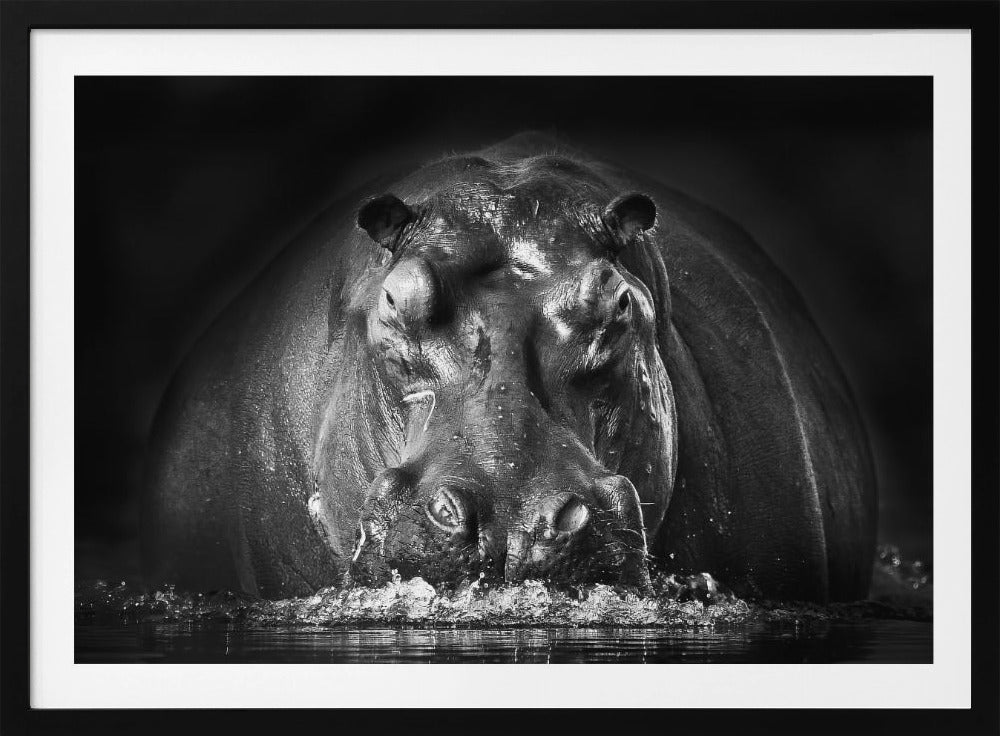 TEHO | Julisteet - Taidevedokset