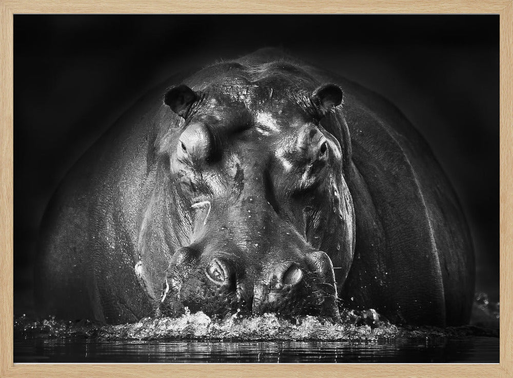 TEHO | Julisteet - Taidevedokset