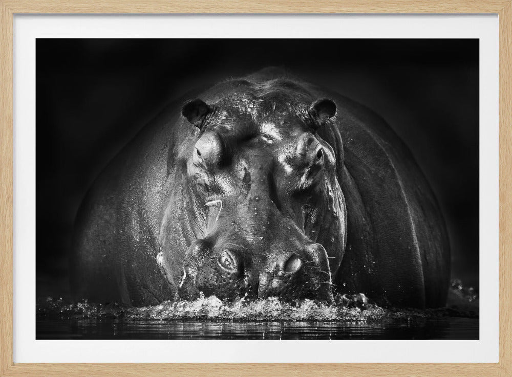 TEHO | Julisteet - Taidevedokset