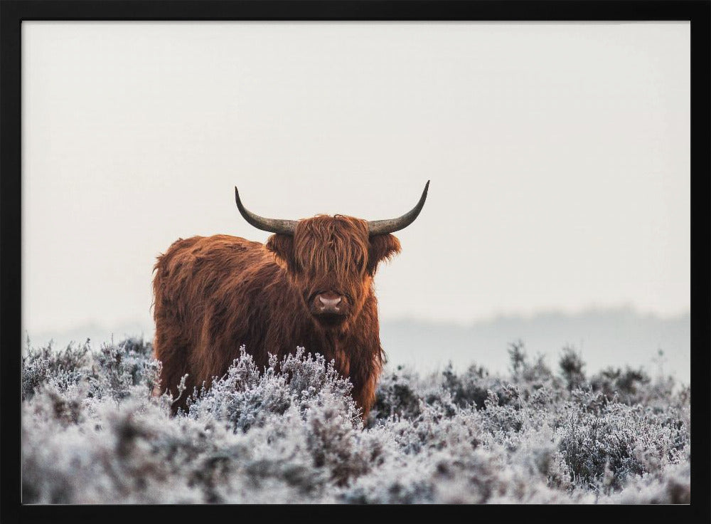Ylämaalais | Julisteet - Taidevedokset