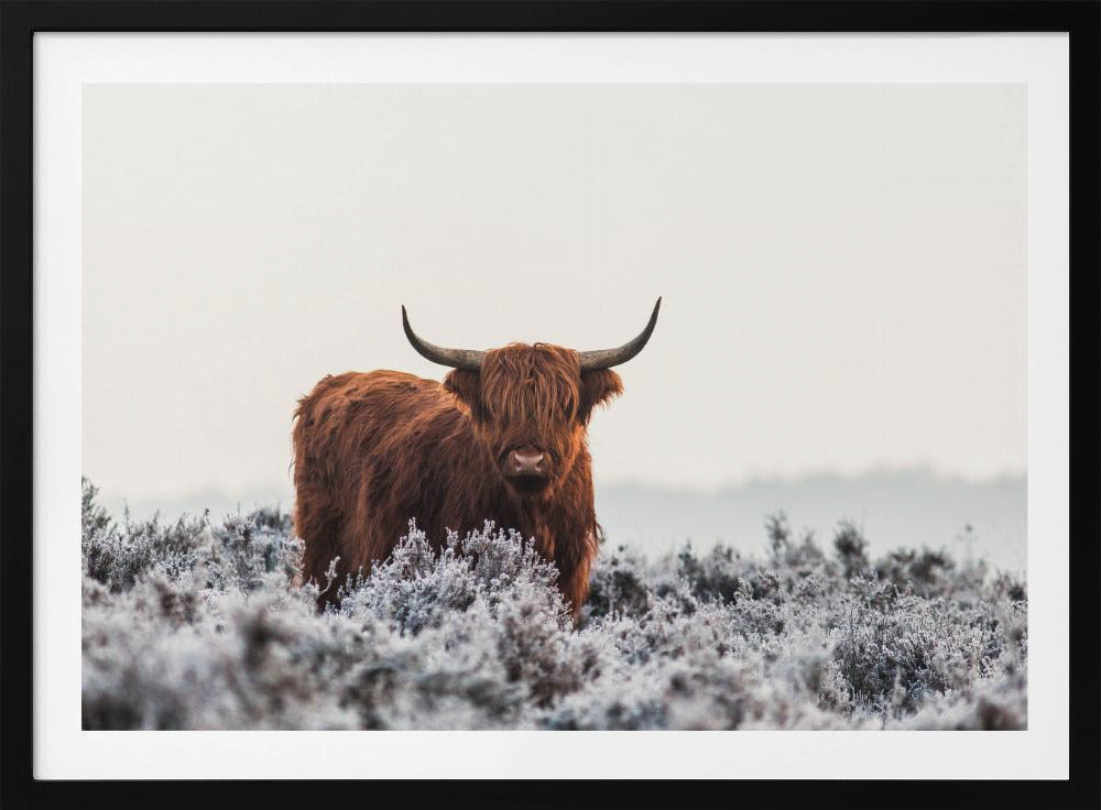 Ylämaalais | Julisteet - Taidevedokset