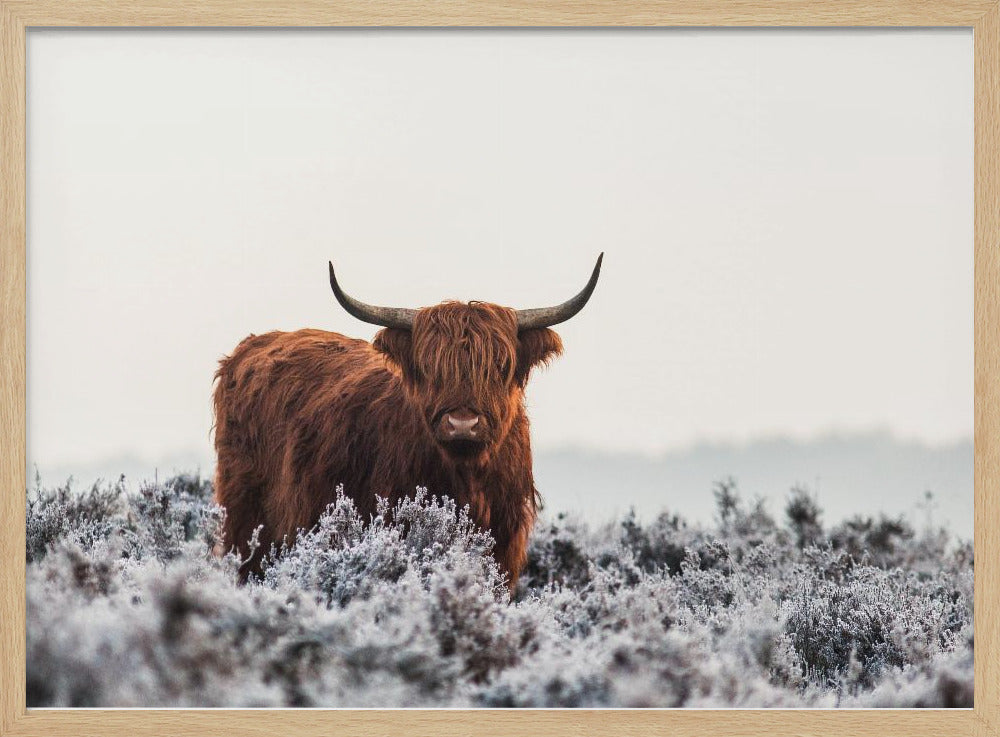 Ylämaalais | Julisteet - Taidevedokset