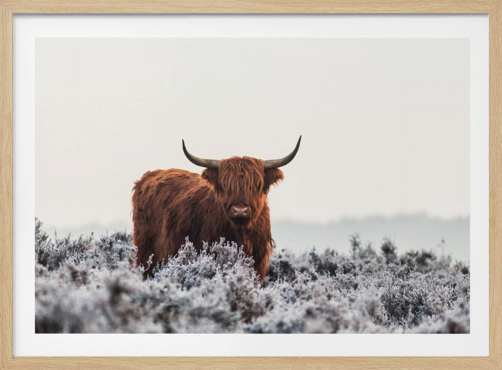 Ylämaalais | Julisteet - Taidevedokset