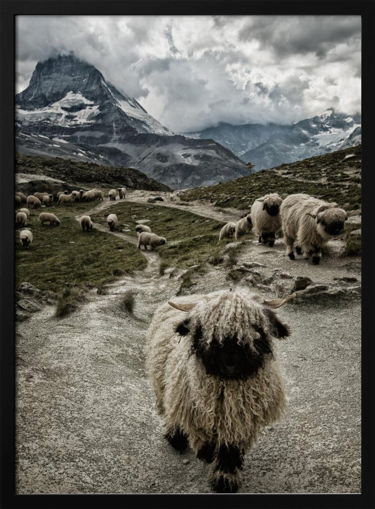 Out of my way | Poster