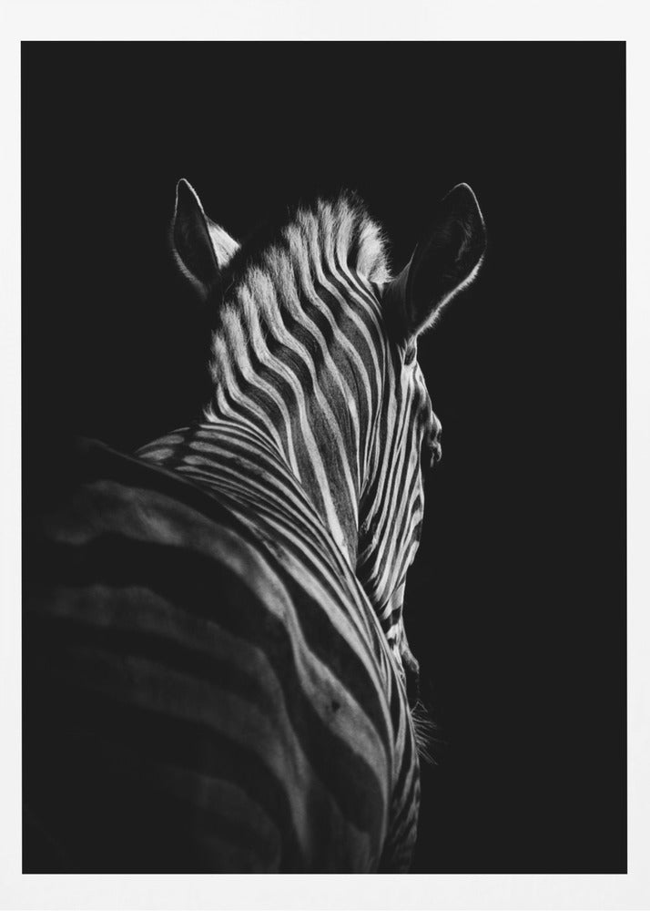 Stepping Down #6 | Poster
