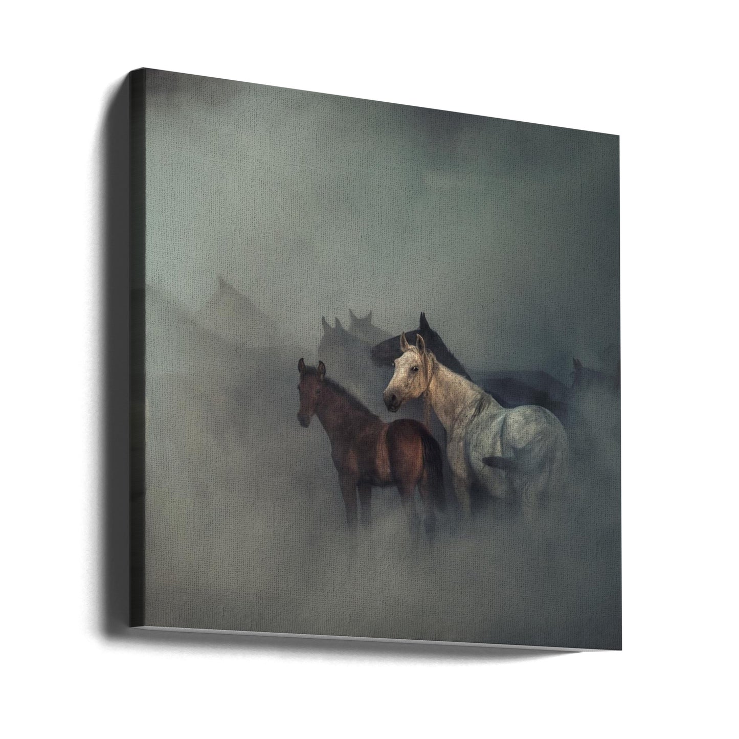 The lost horses | Canvas