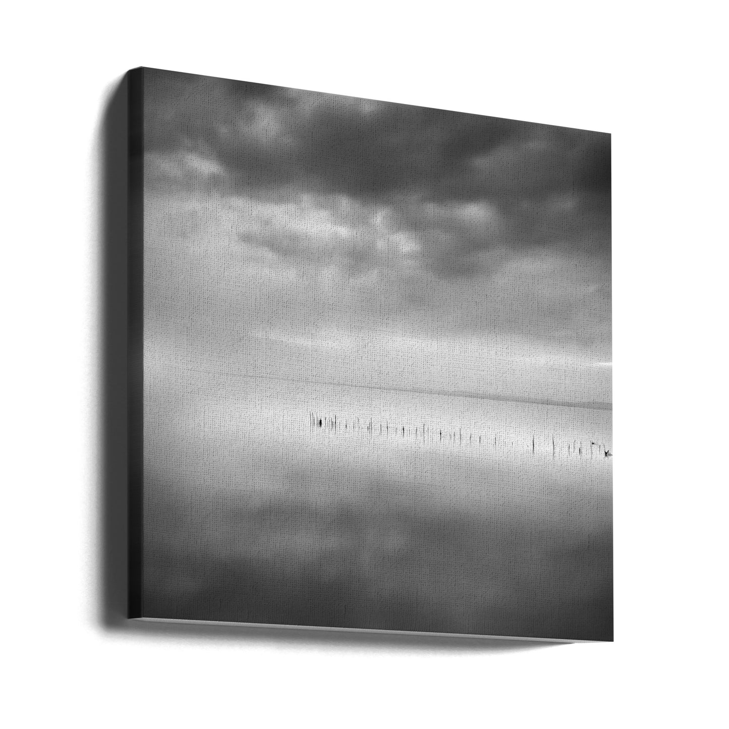 Sixty shades of gray | Canvas
