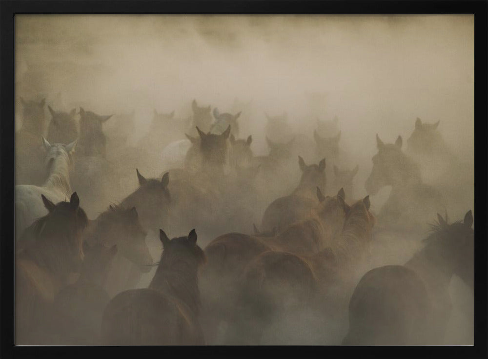 in dust | Poster