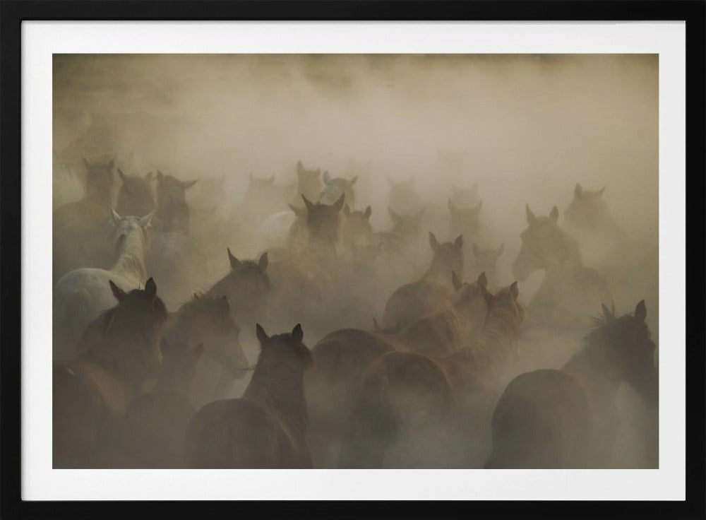 in dust | Poster