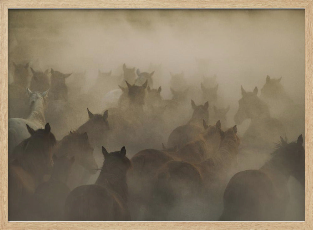 in dust | Poster