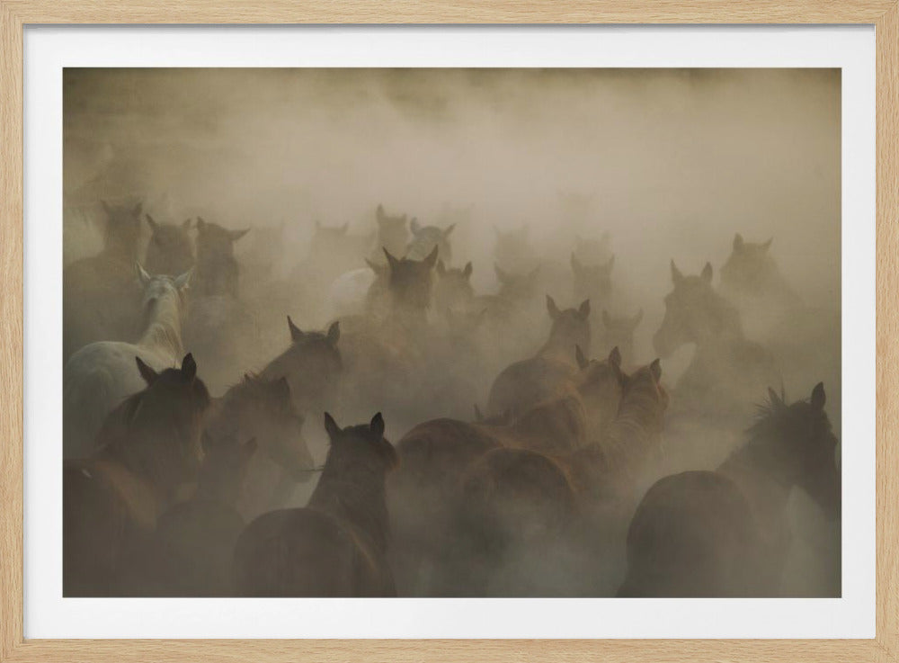 in dust | Poster