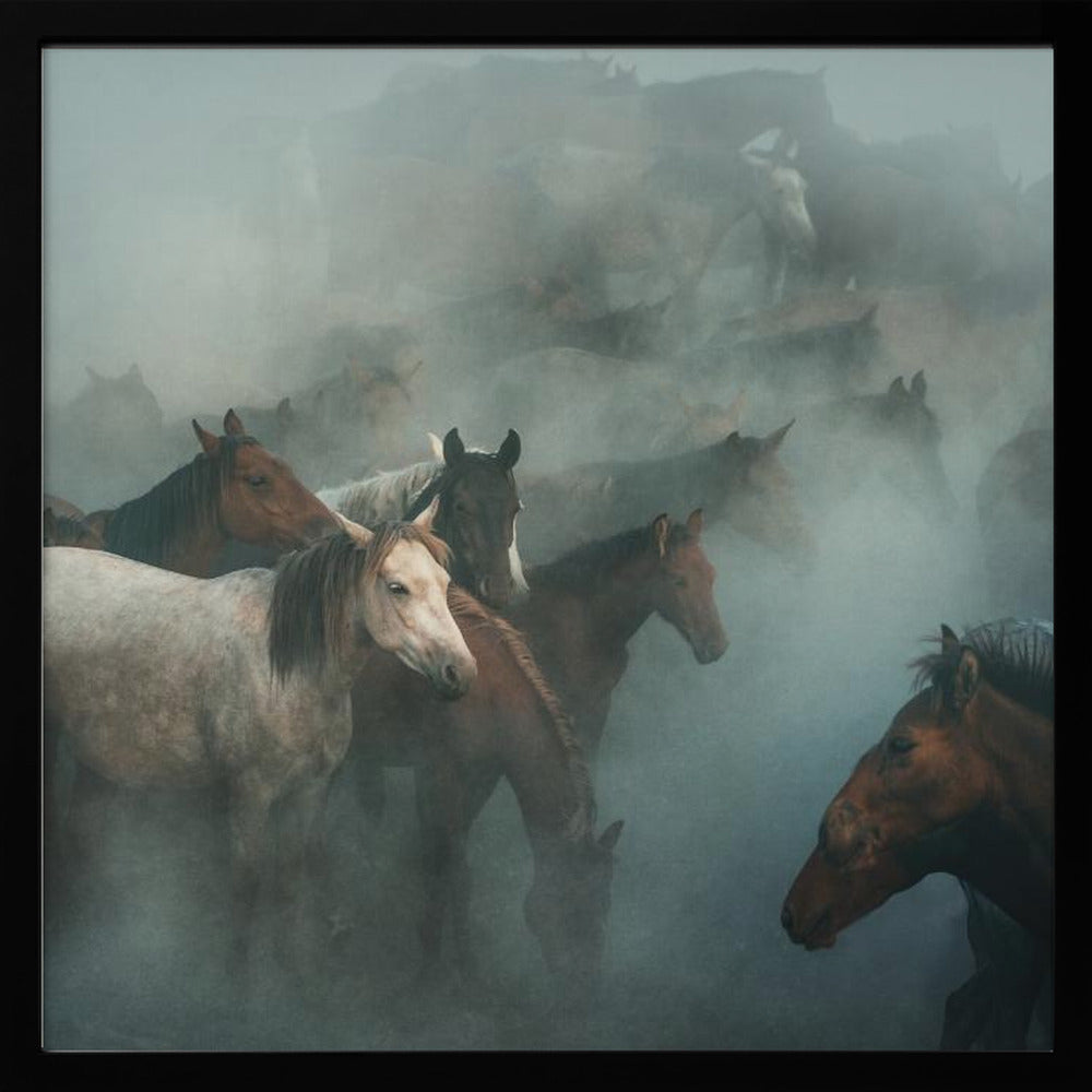 lost horses | Poster