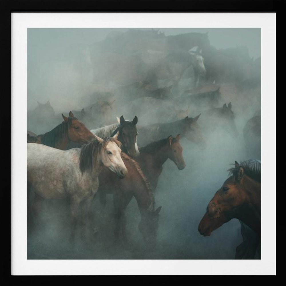 lost horses | Poster