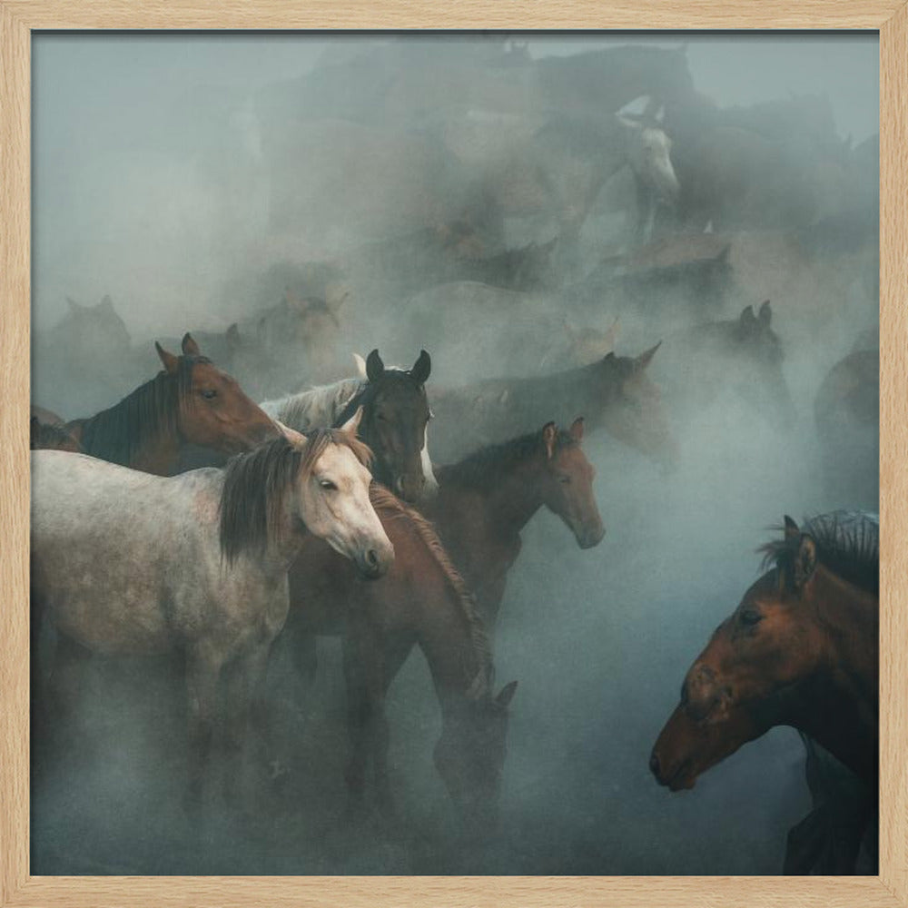 lost horses | Poster