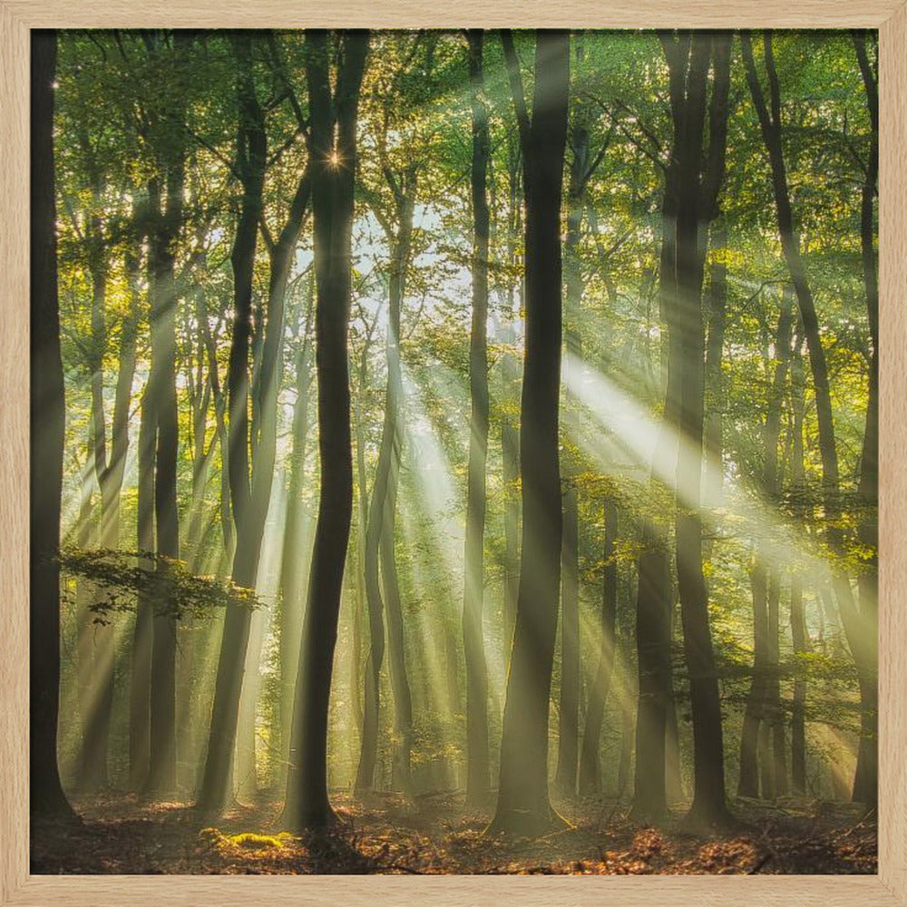 Sunny start to the day ........ | Poster