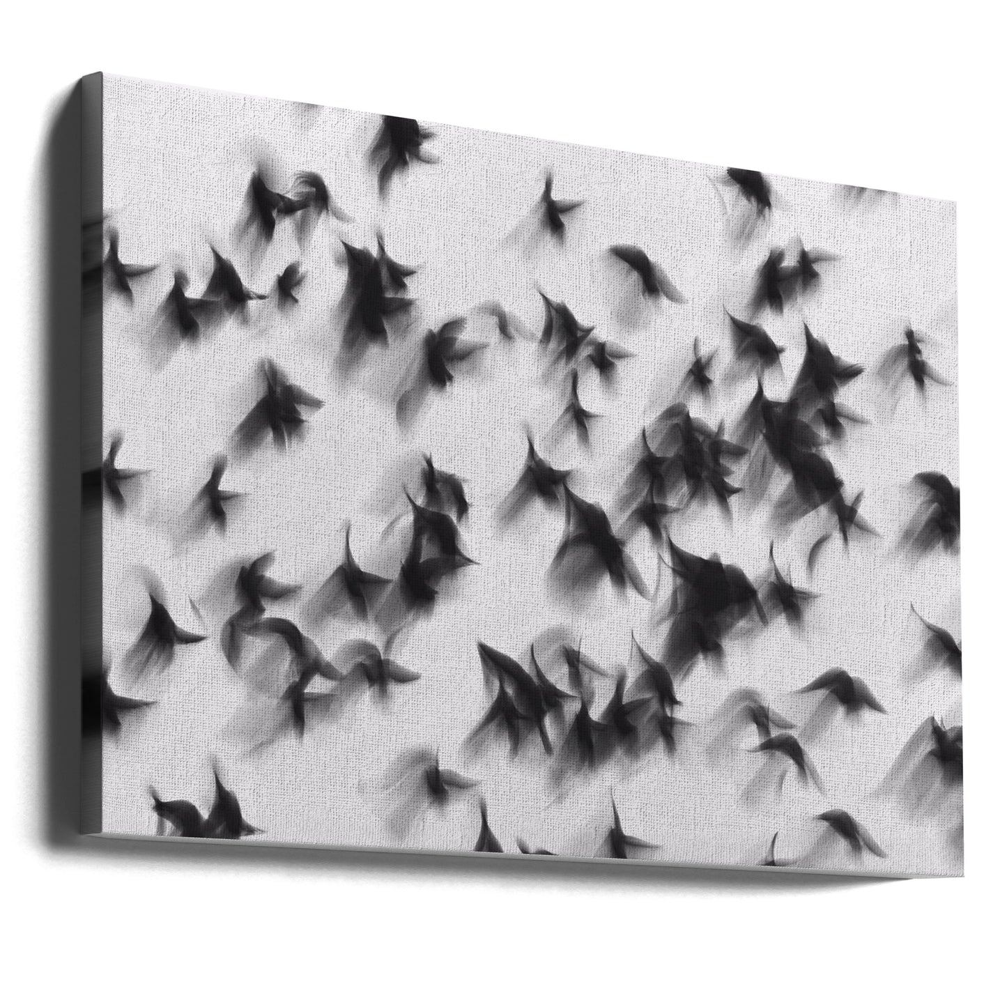 Oiseaux | Tableaux sur Toile
