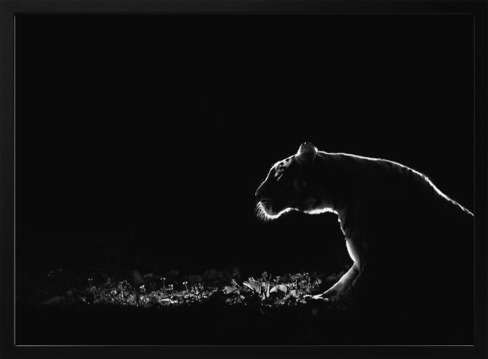 Nimetön | Julisteet - Taidevedokset