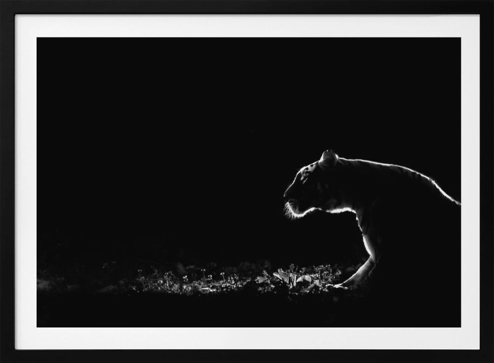 Nimetön | Julisteet - Taidevedokset