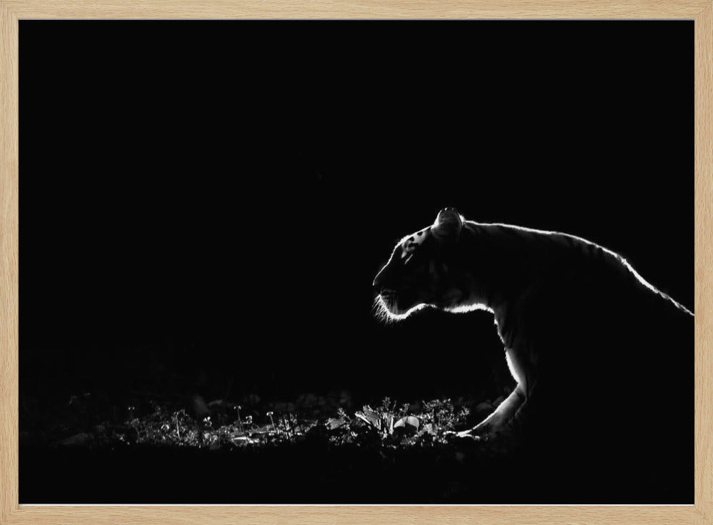 Nimetön | Julisteet - Taidevedokset