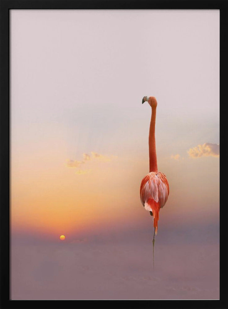 sunset ... | Poster