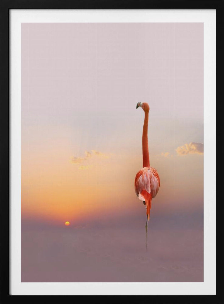 sunset ... | Poster