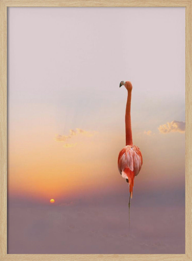 sunset ... | Poster