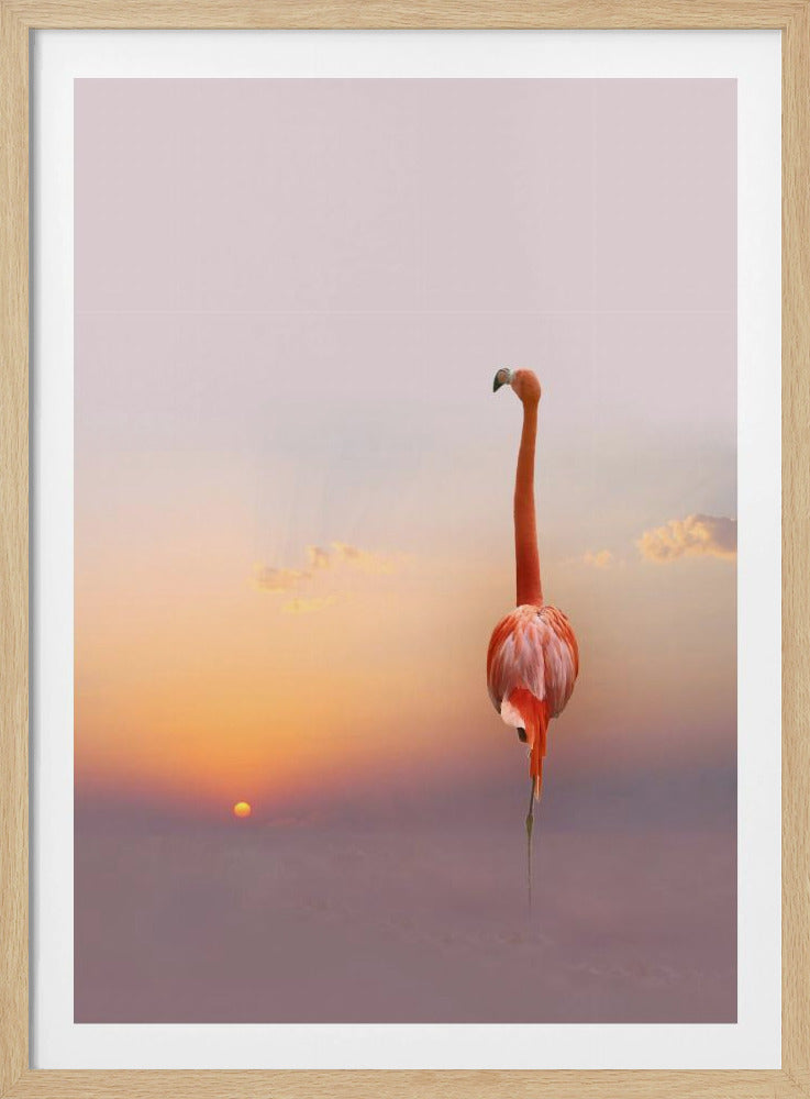 sunset ... | Poster