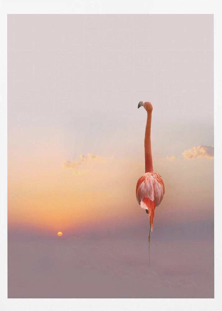sunset ... | Poster