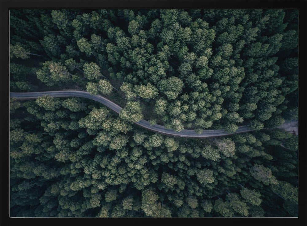 From above | Poster