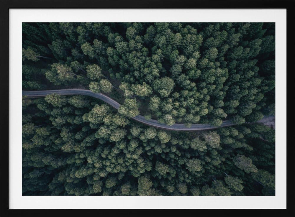 From above | Poster