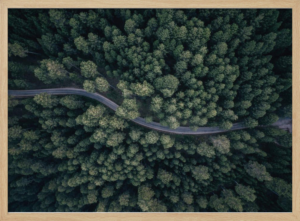 From above | Poster