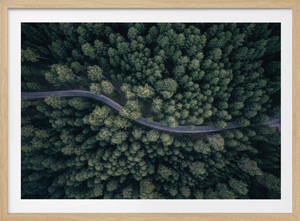 From above | Poster