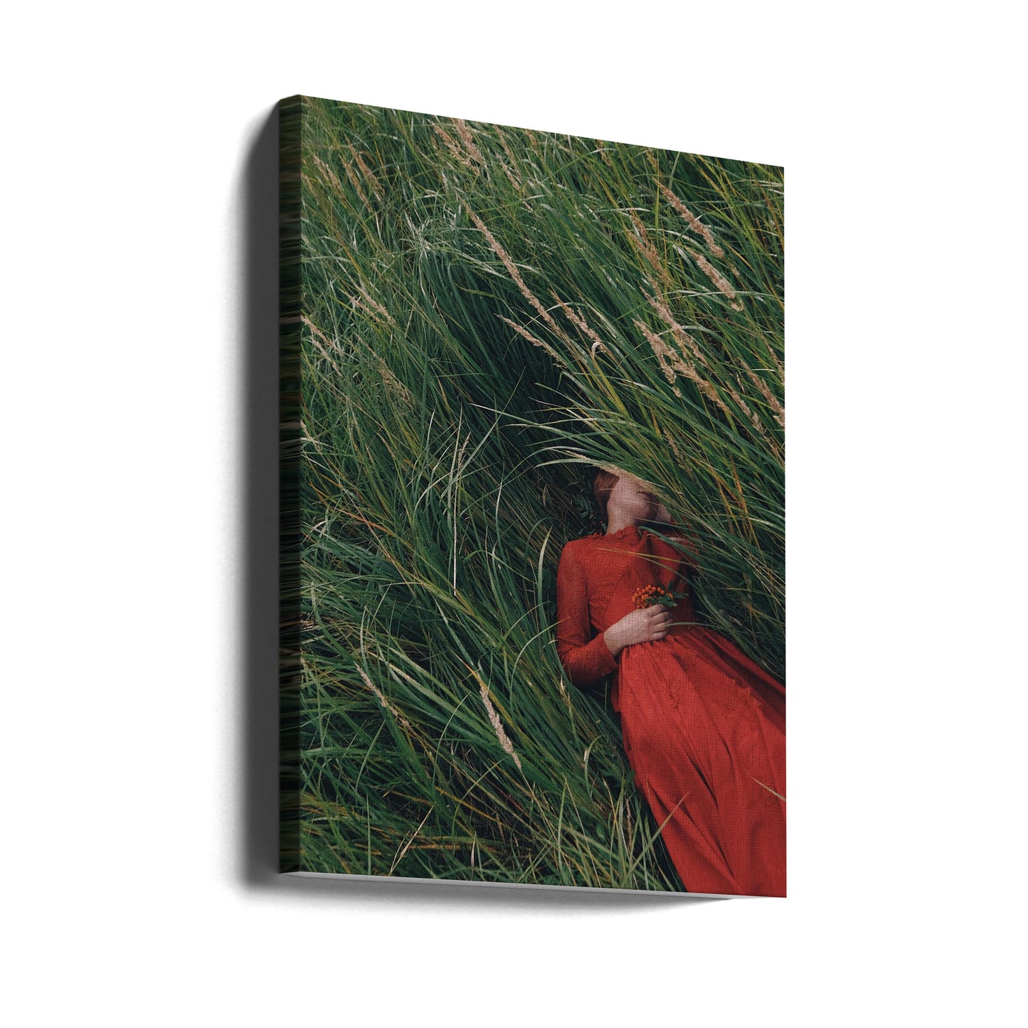 * | Canvas