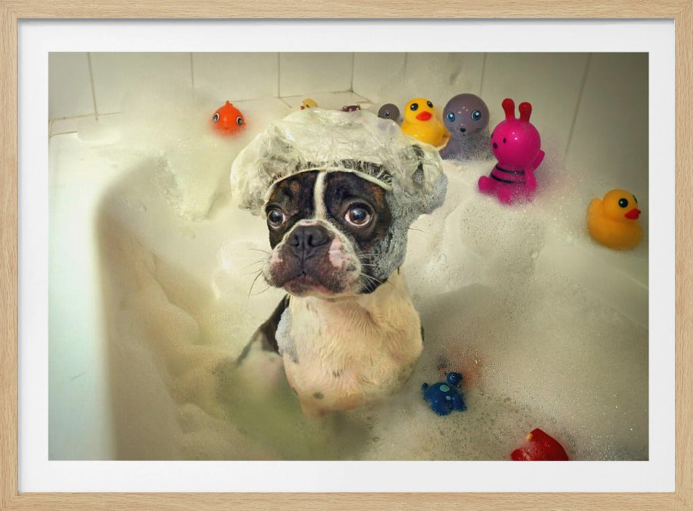 The Bath | Poster