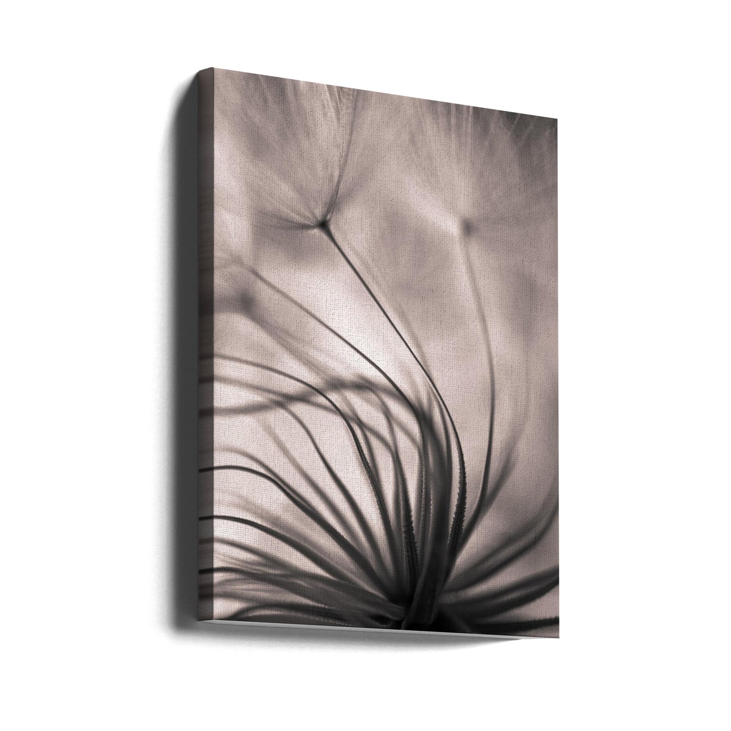 Ohne Titel | Leinwand-Bilder