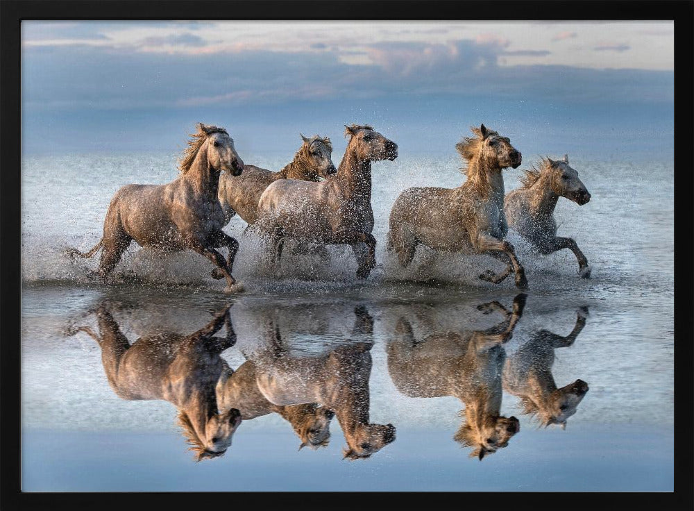 Konie i refleksja | Plakaty - Wydruki Artystyczne